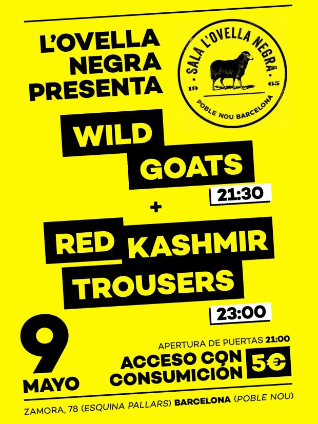 Nit de Música en directe a L'Ovella Negra